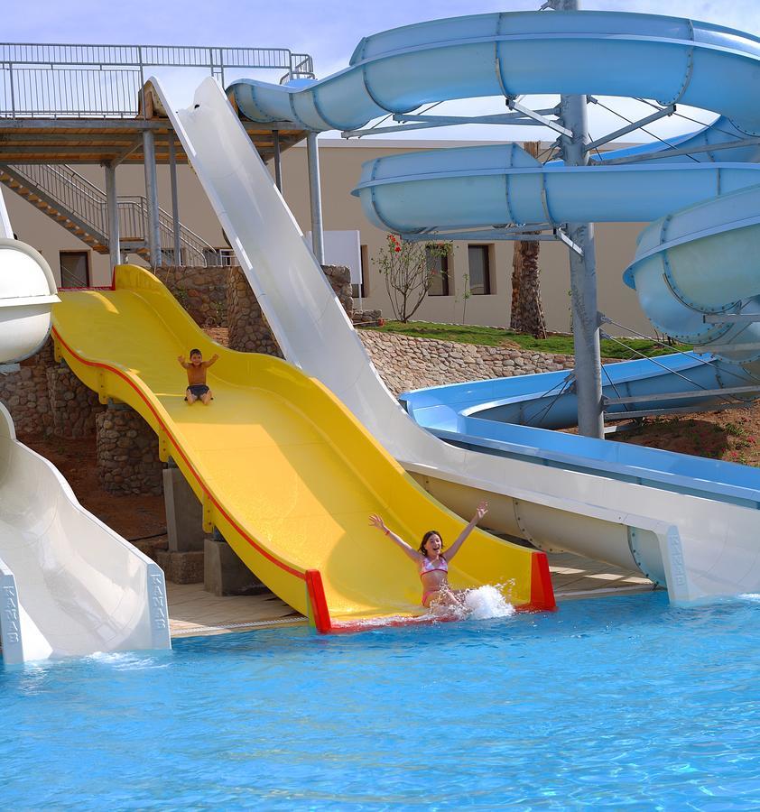Camera Familiare con Letto Queen-Size o 2 Letti Singoli e Vista Piscina - Spiaggia Jaz Mirabel