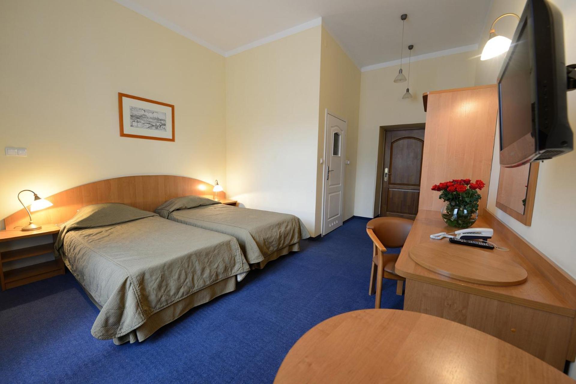 Double or Twin Room without