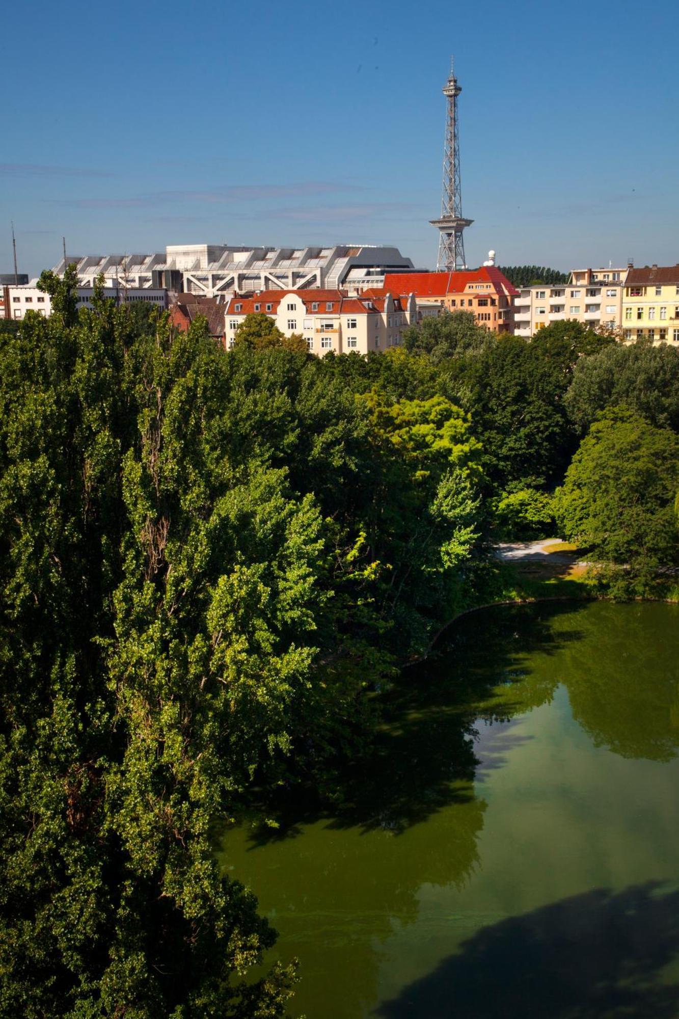 Suite con Vista Lago