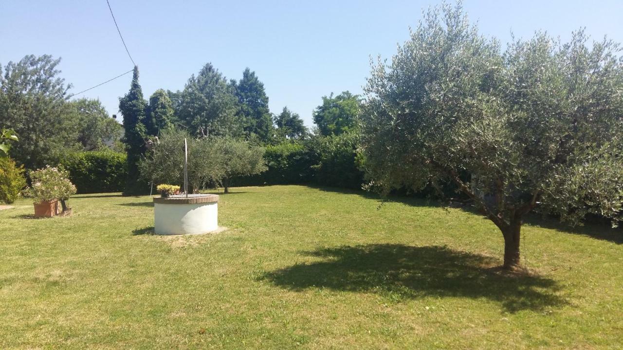 Studio Garden View,855986231:JPEG
