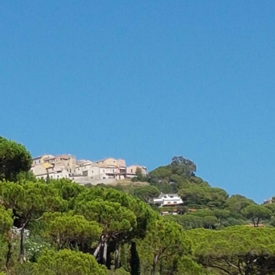 Appartamento