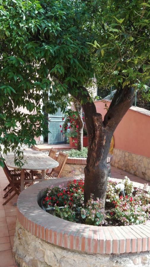 Monolocale con Divano-Letto