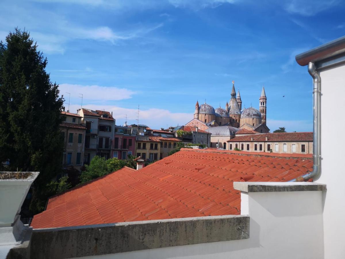 Camera Matrimoniale/Doppia con Letti Singoli con Vista Panoramica