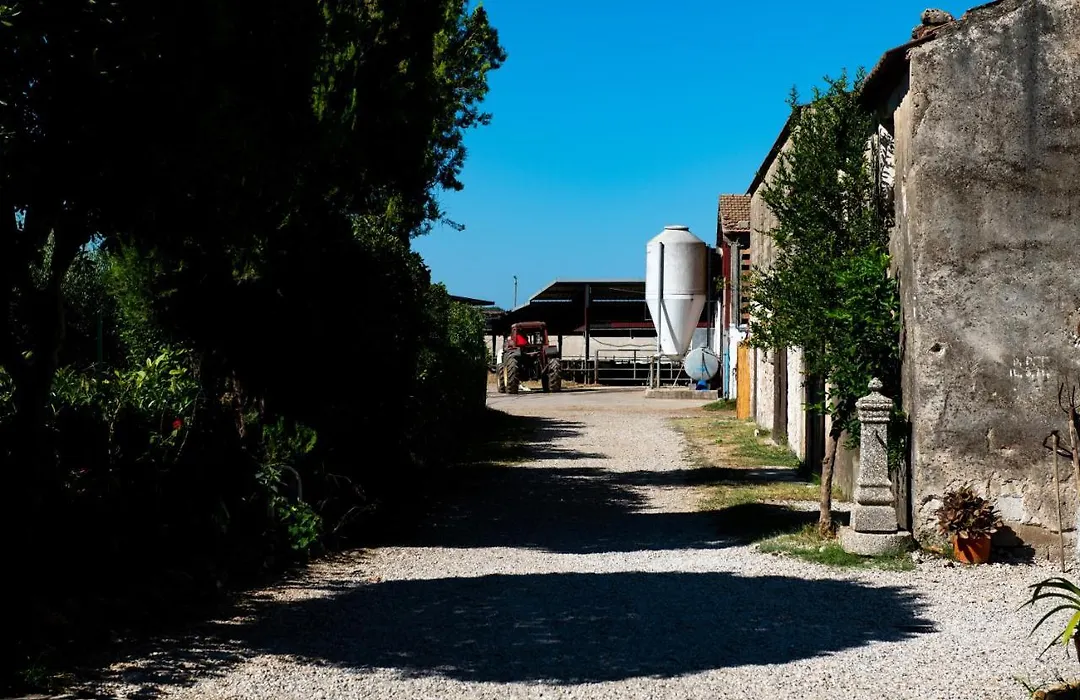 Dimora Iannelli - B&B Rurale Paestum-1