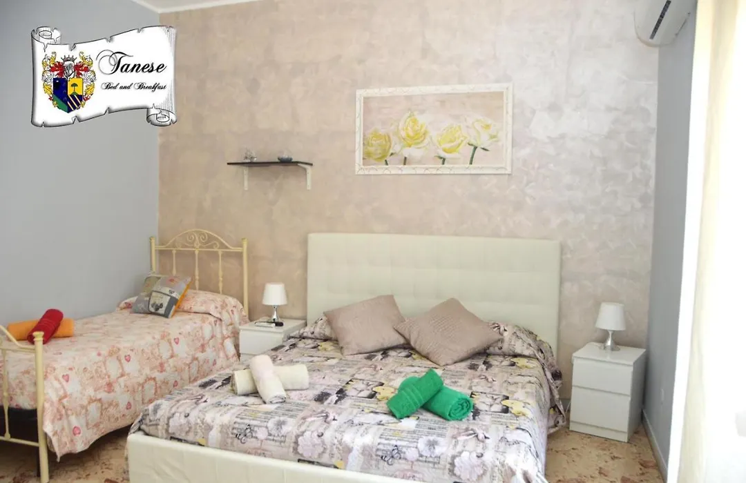 B&B Tanese-1