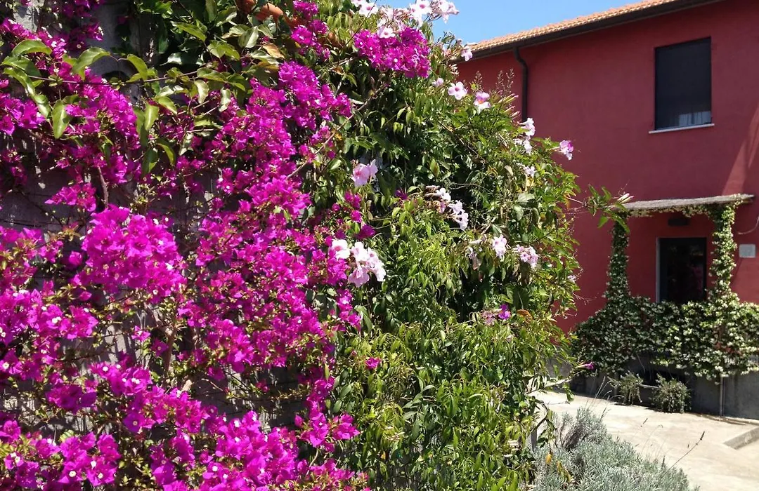 Antoniana-1