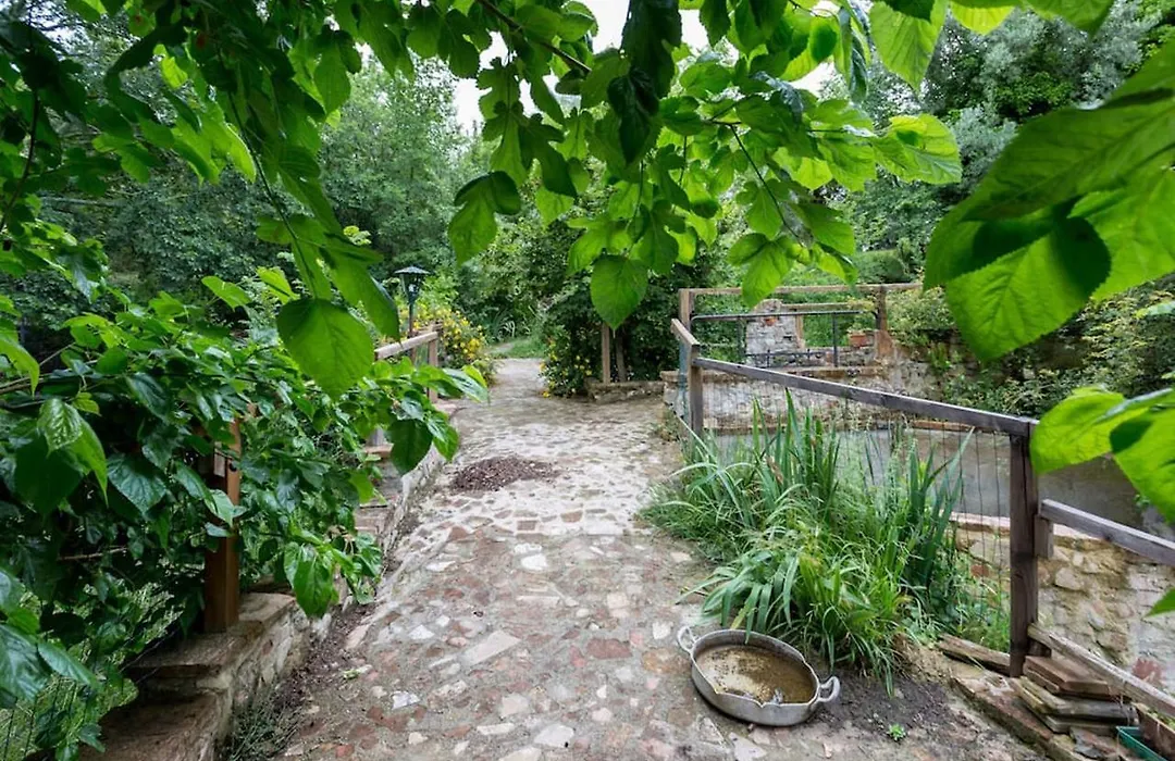 Agriturismo Il Poggio degli Scoiattoli-1