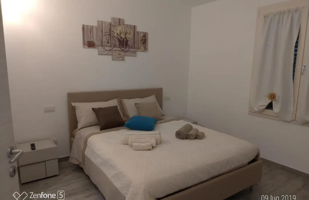 B&B Hibiscus-1