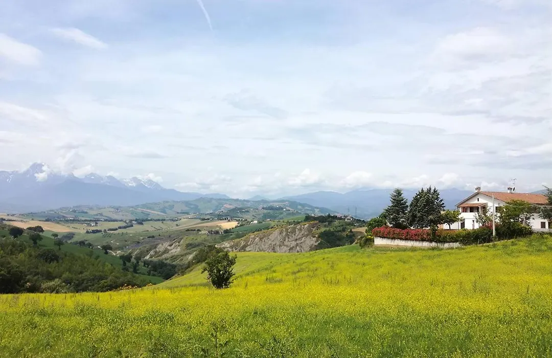 Casa Amrita, Yoga B&B-1