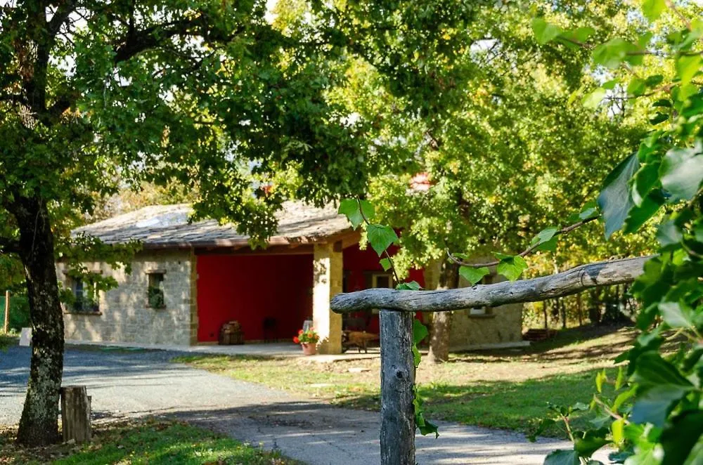La ghiandaia-1