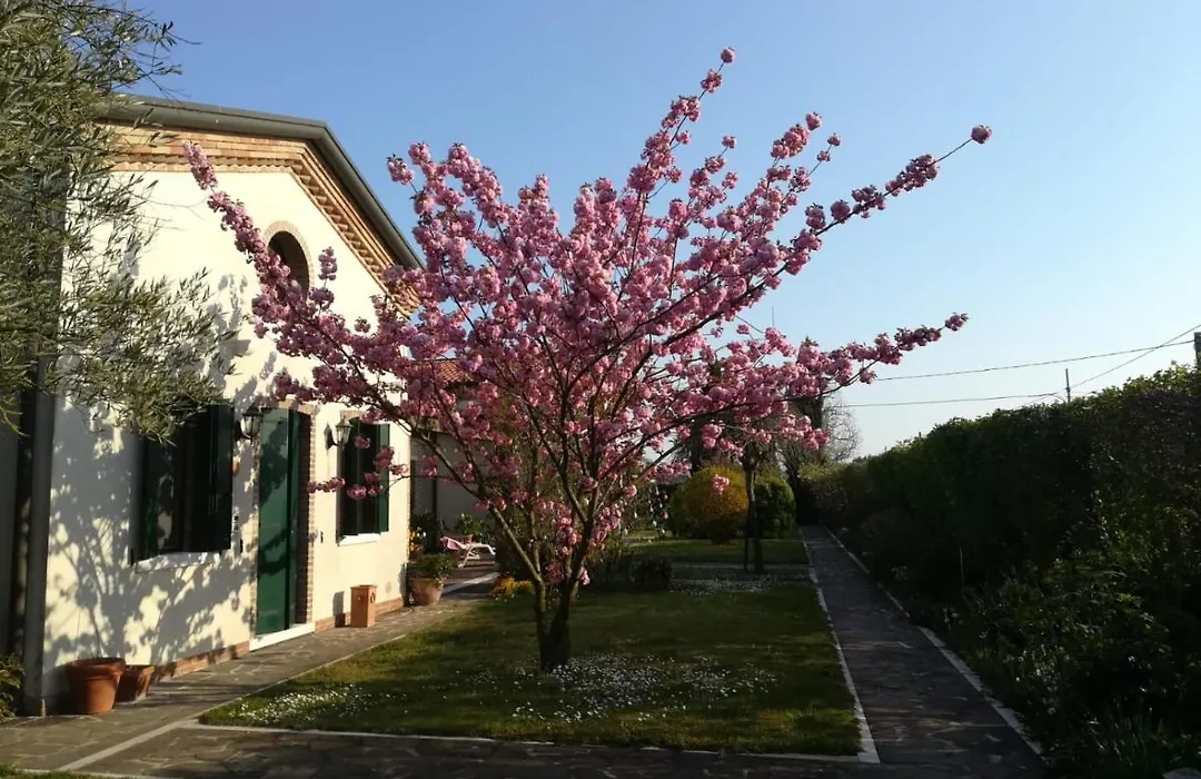 Casa Pianta-1