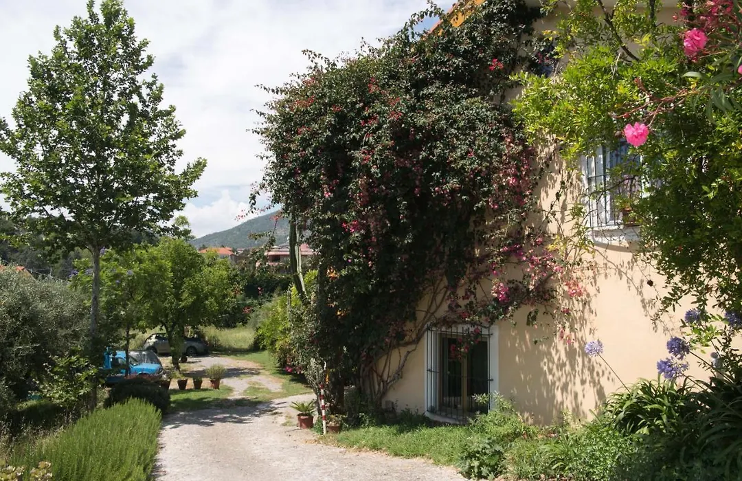 B&B La casa dei gelsi-1