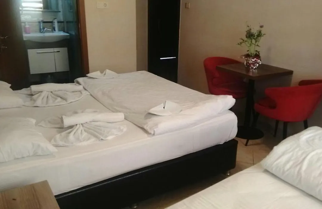 Hotel Kiwi-1