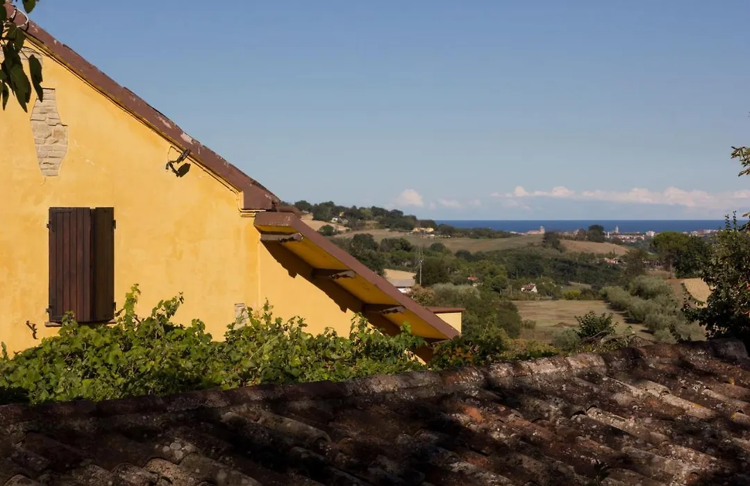 B&B Salvarosa-1
