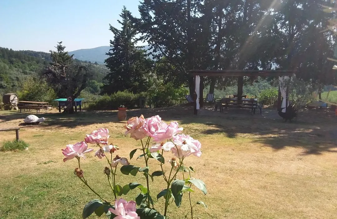 Agriturismo Podere Somigli di Lorenzo Correani-1