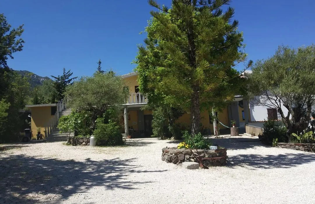 B&B Littu-1
