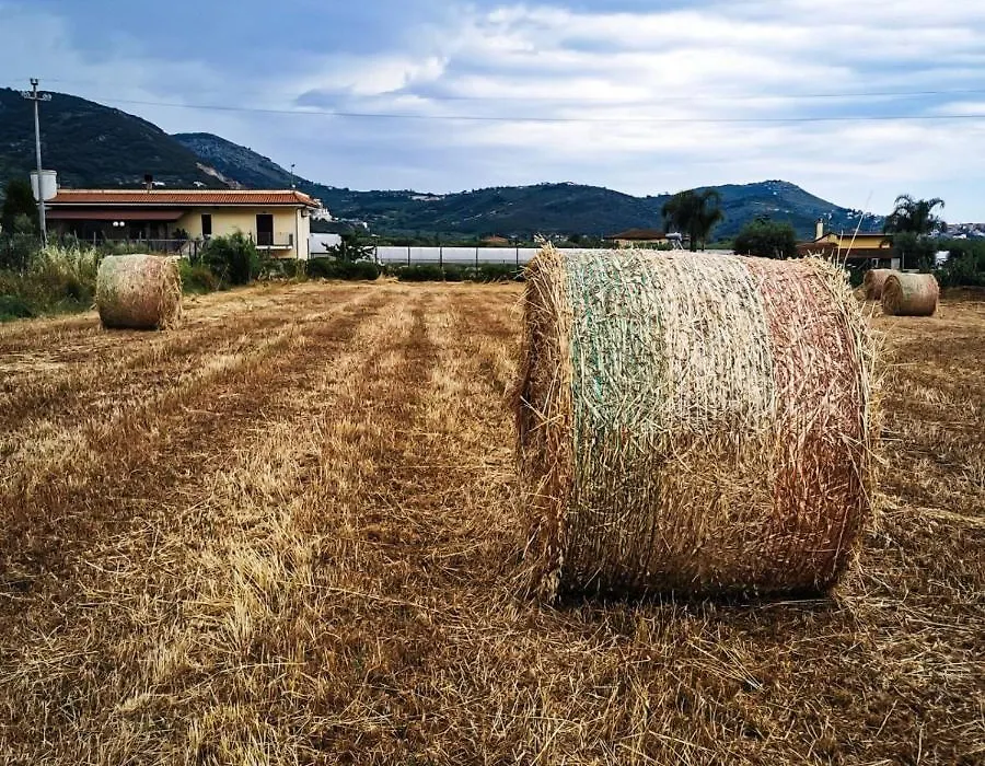 Il Sentiero di Leano-1