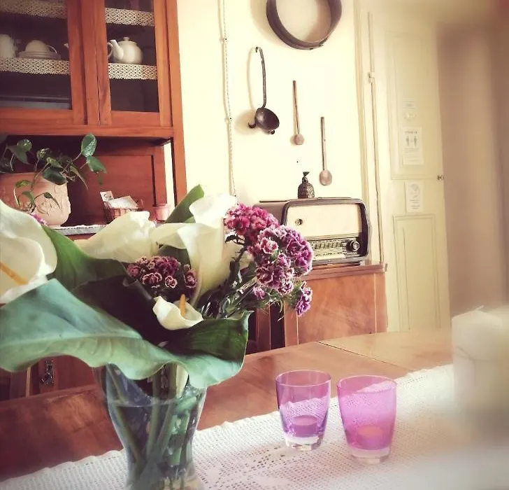 Bed And Breakfast Evelina-1