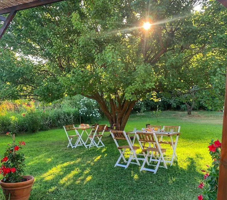 B&B La Petra Longa-1