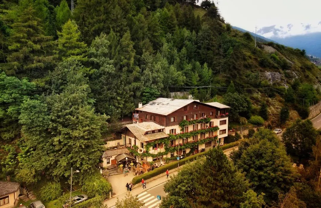 Hotel Daniela-1