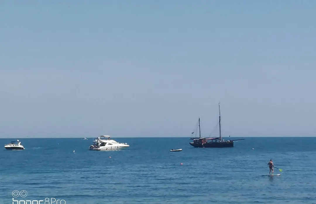 Casa Viorica 2-1