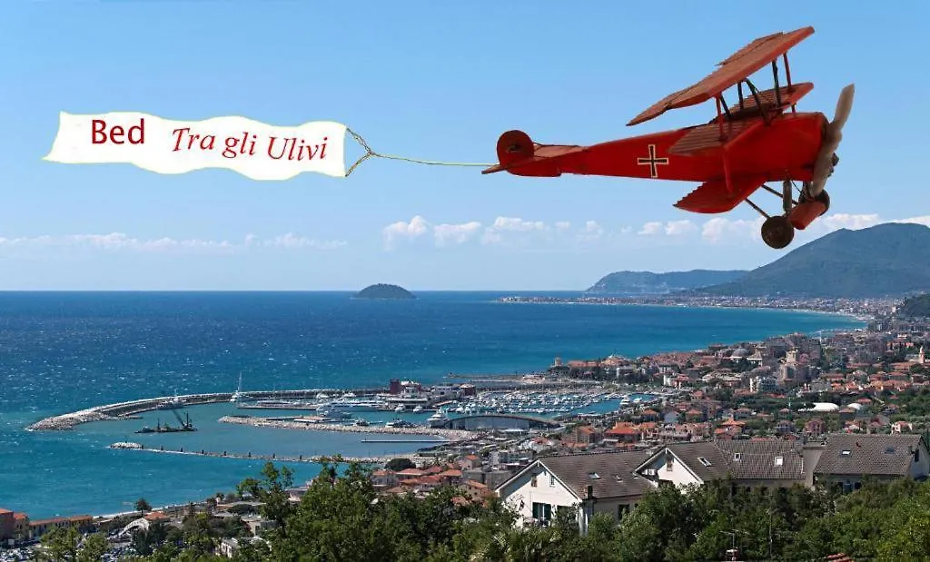 Tra Gli Ulivi-1