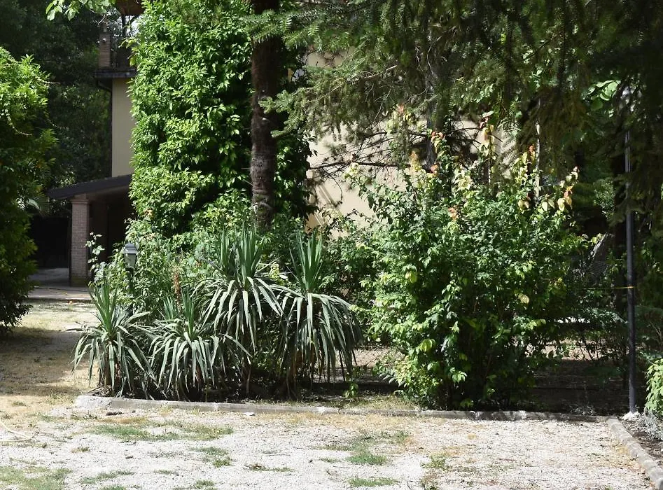 Cospea B&B-1