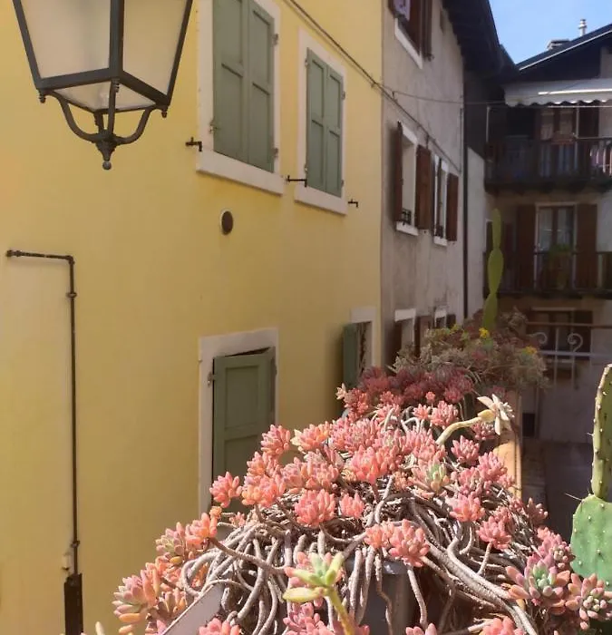 La tana dell'artista-1