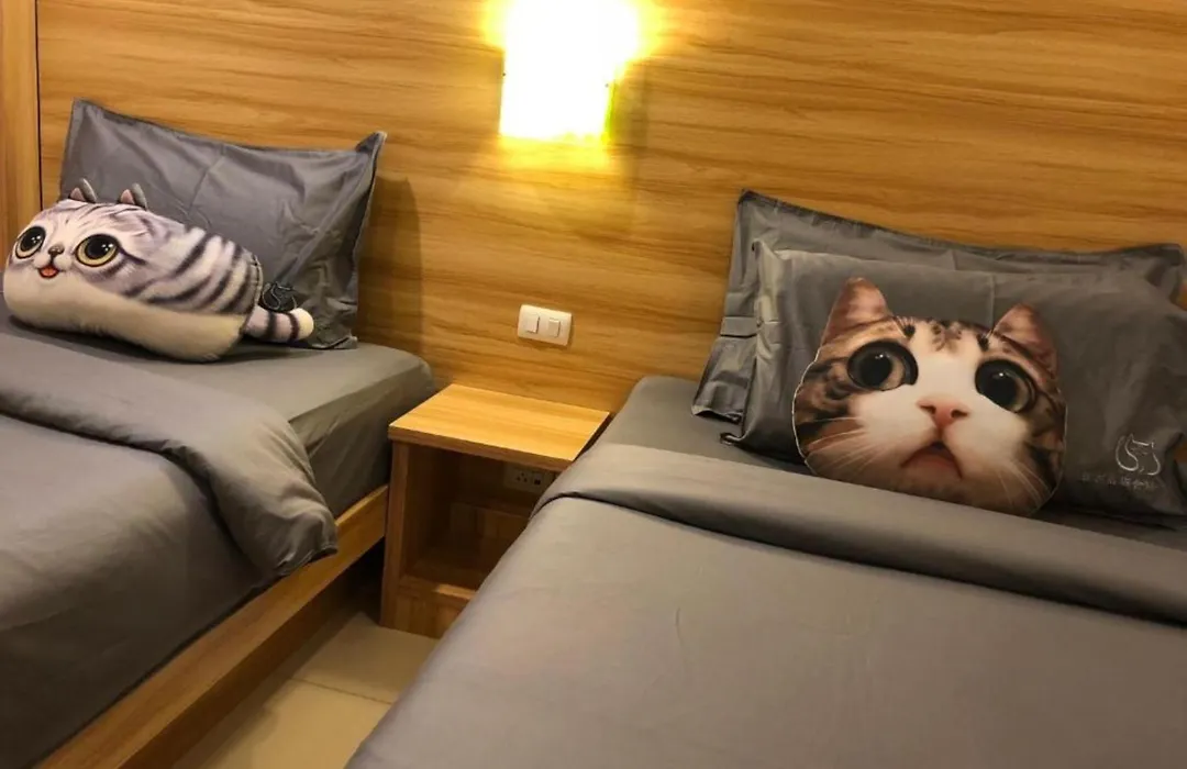 Cat Story Hotel-1