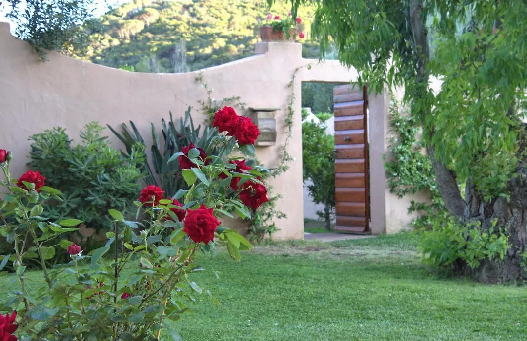Residenza La Limonaia-1