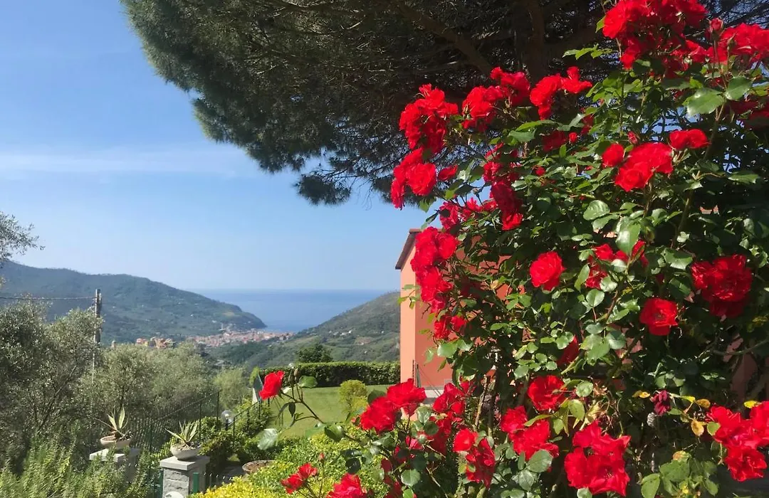 La Vignana - 5 Terre-1