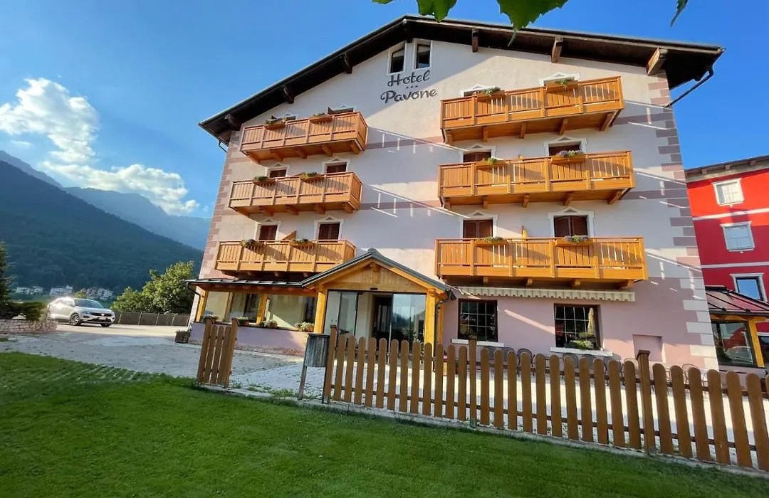 Hotel Pavone-1