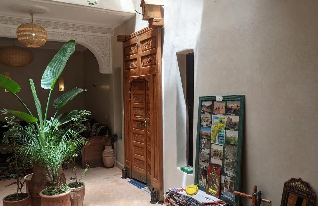 Riad Taziri-1