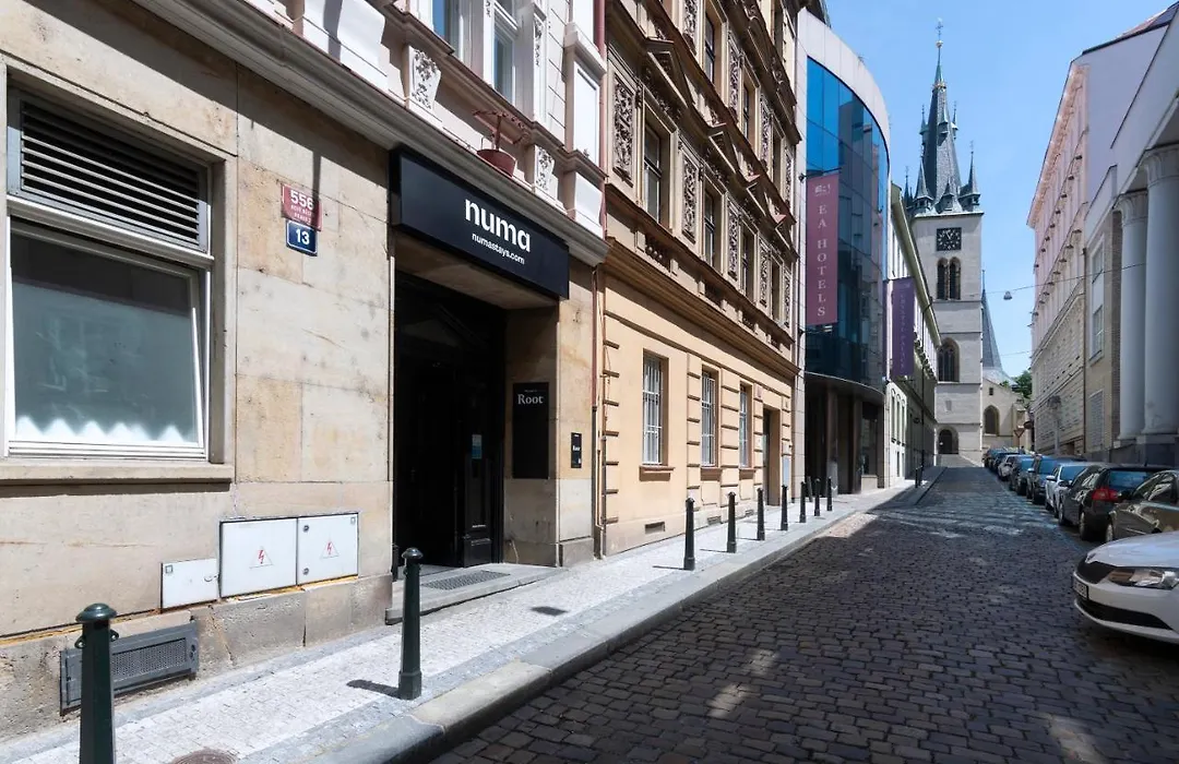 Numa Prague Root-1