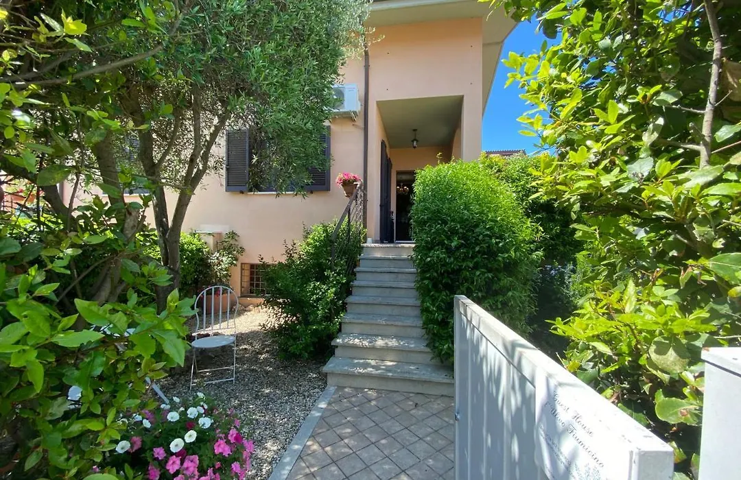 B&B L'Ulivo Fiumicino-1