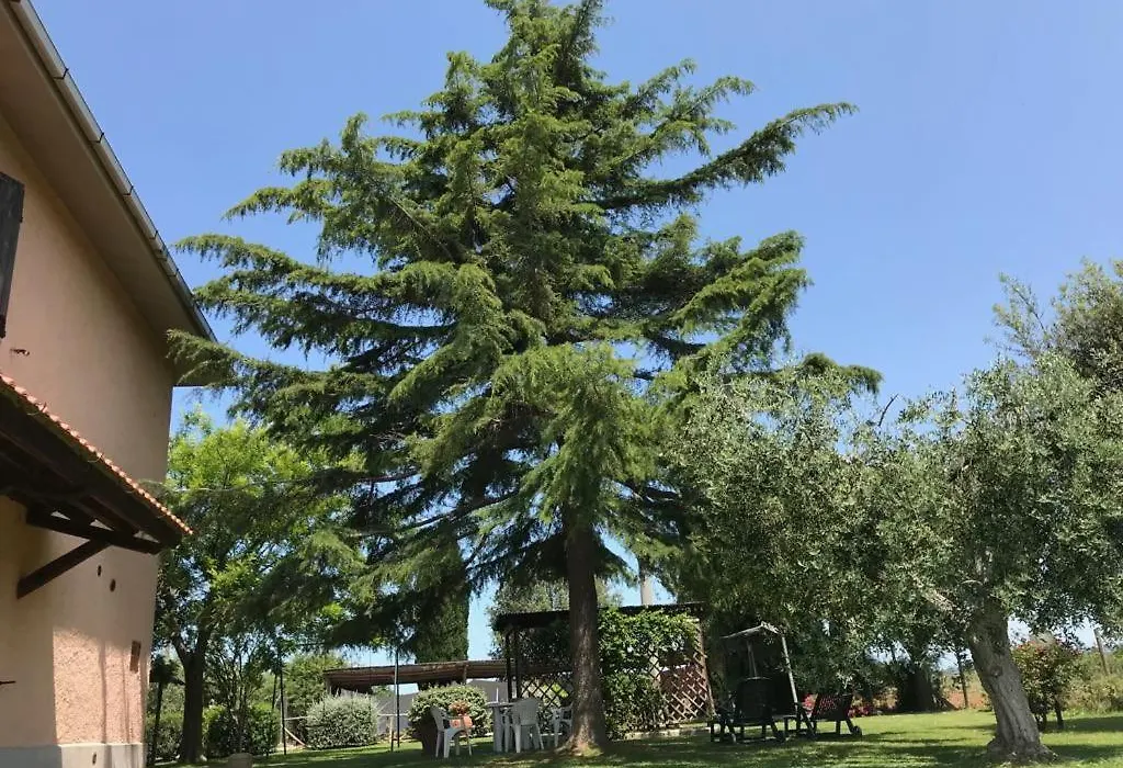 Agriturismo San francesco-1