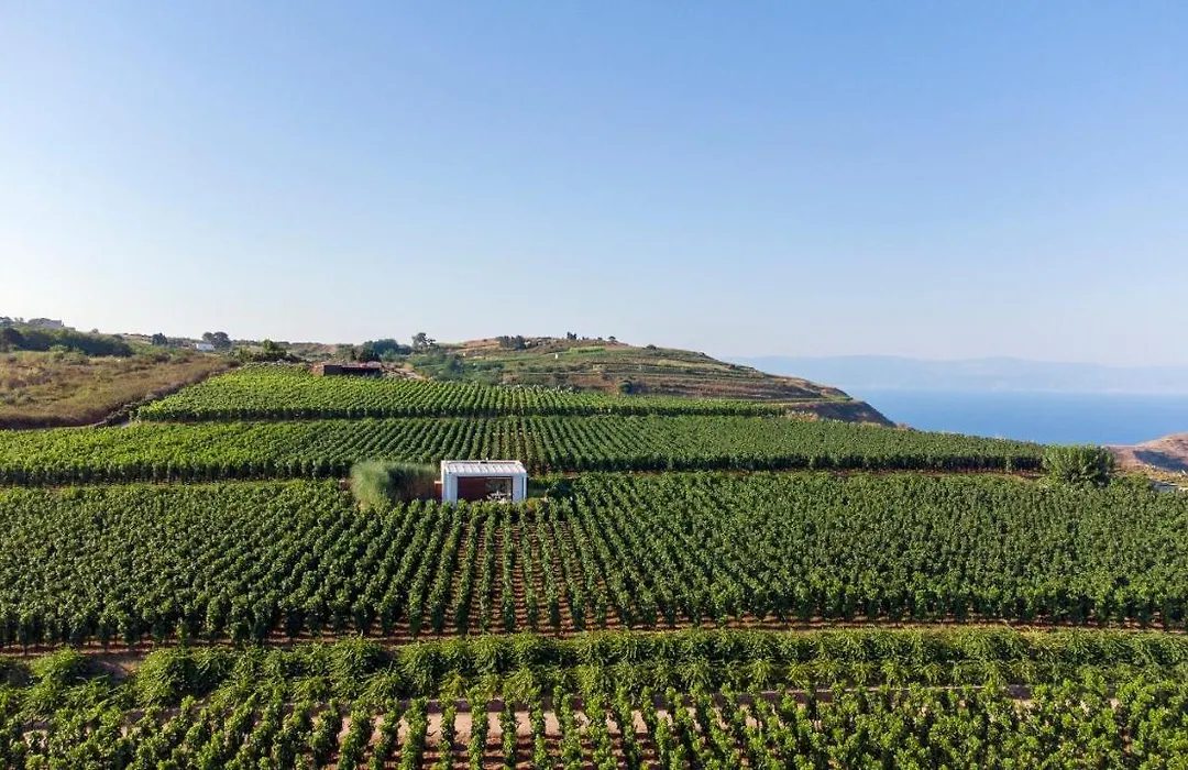 Castellaro Wine Resort-1