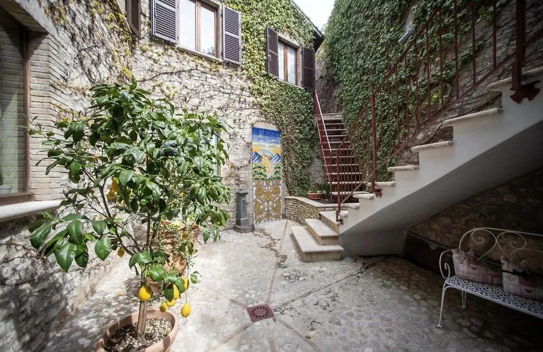 Domus Fontis Pescaia-1