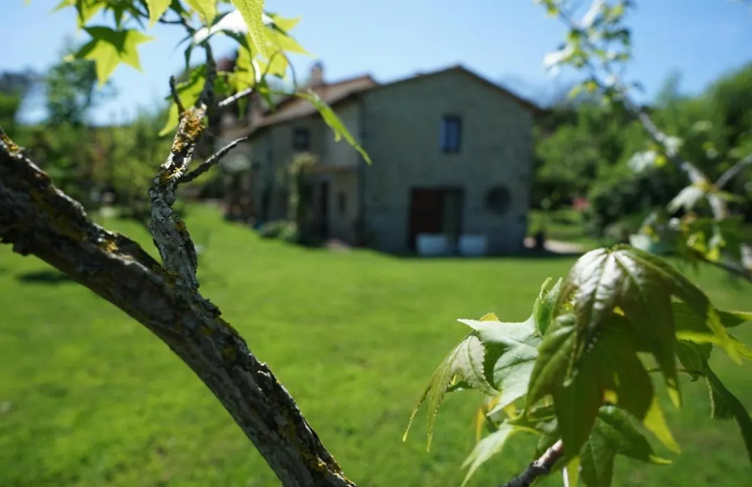 Castagna Dulcis-1