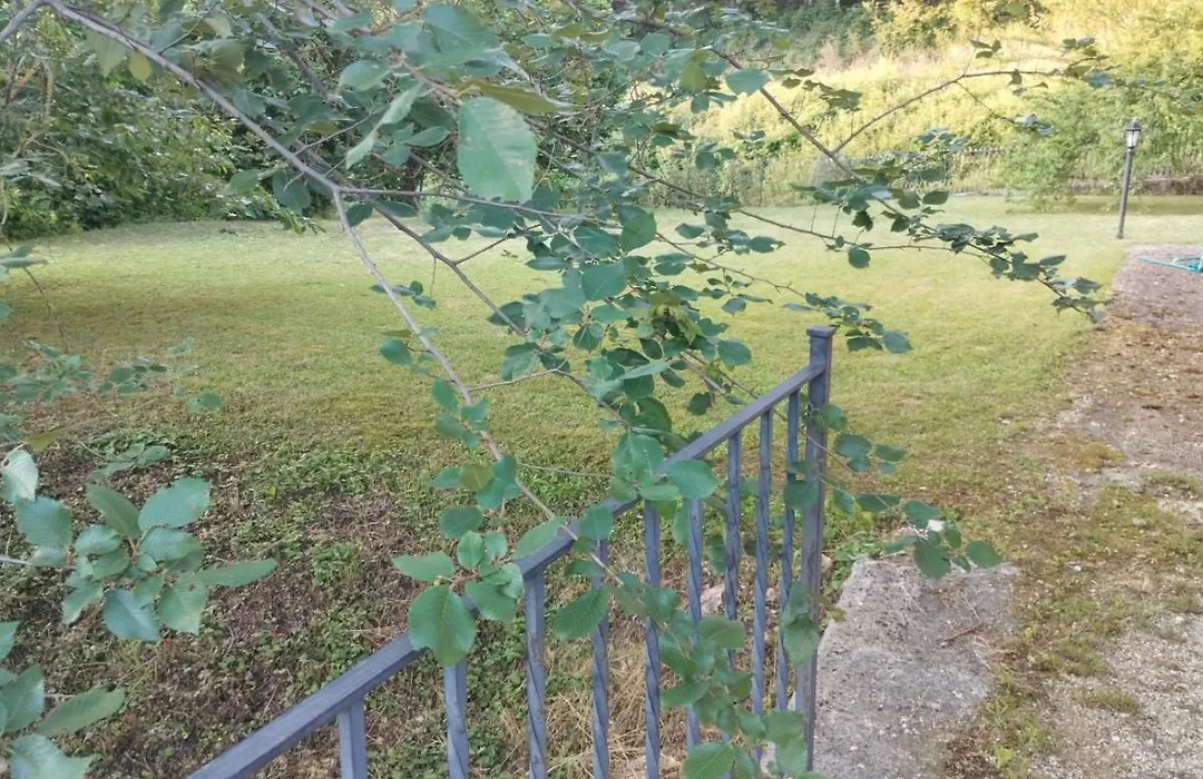 La Casa Dei Fagiani-1