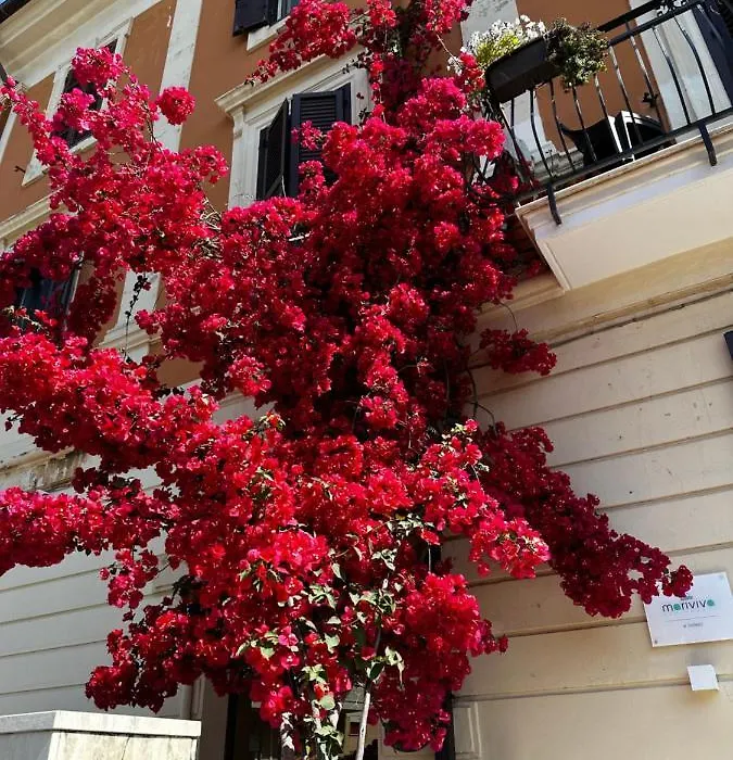 Mariviva Guest House-1
