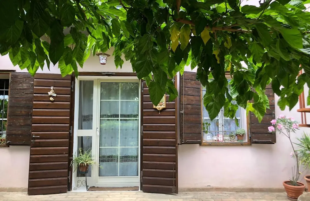 La casa nel bosco-1