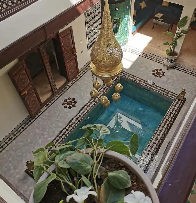 Riad Jolie-1