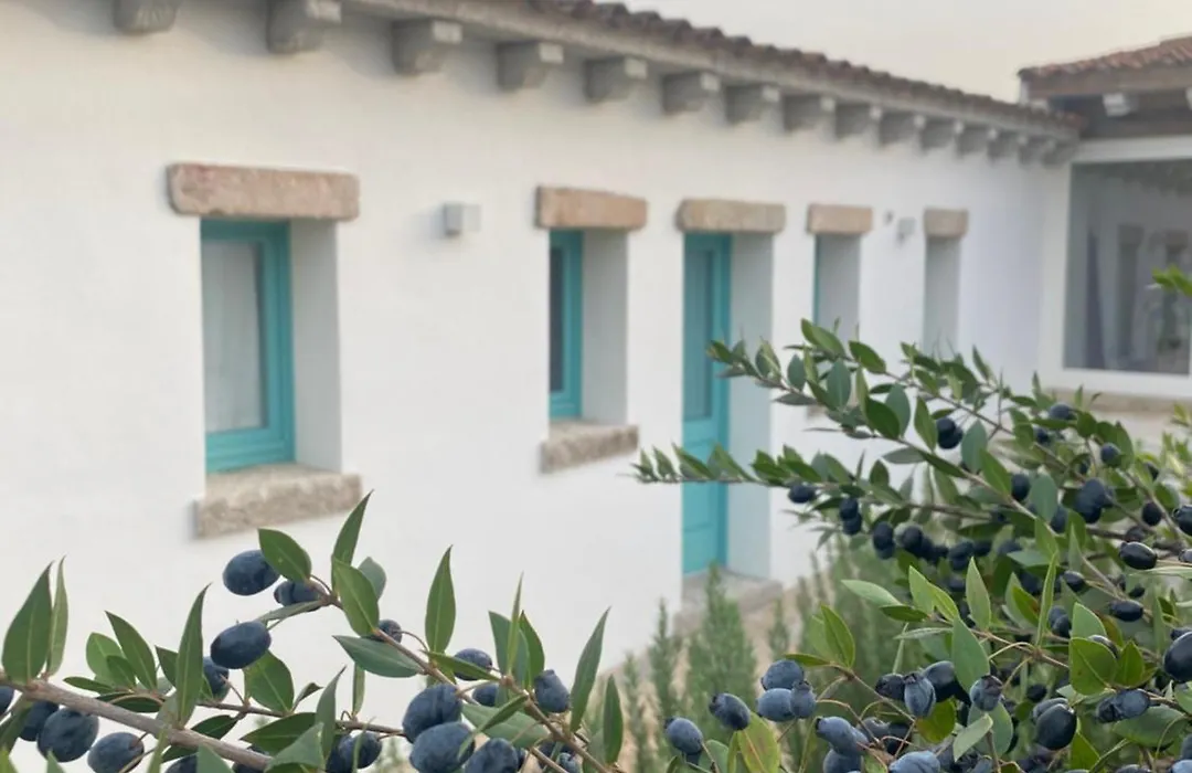B&B Li Tauli-1
