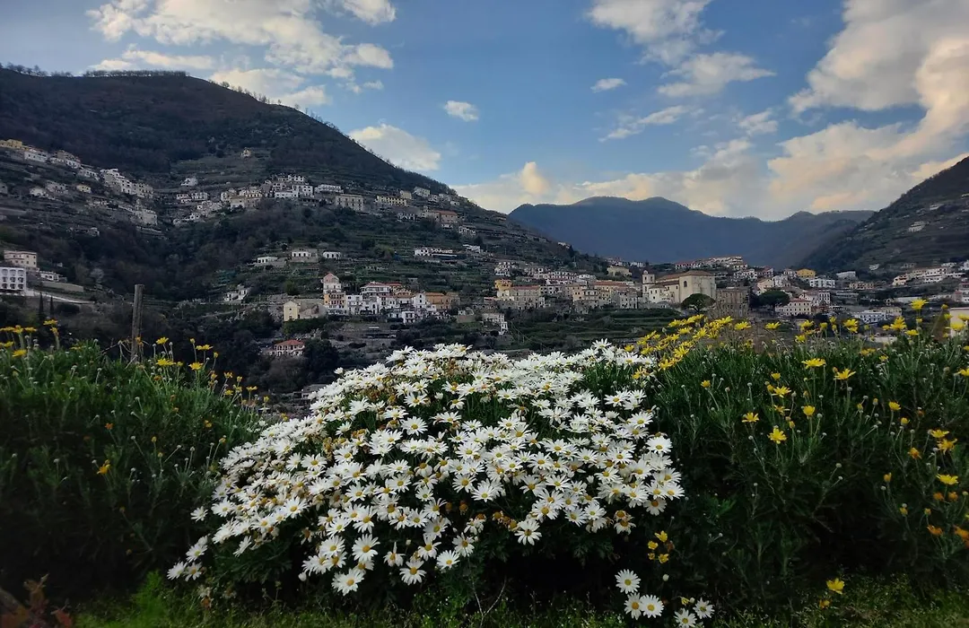 La Margherita Fiorita-1