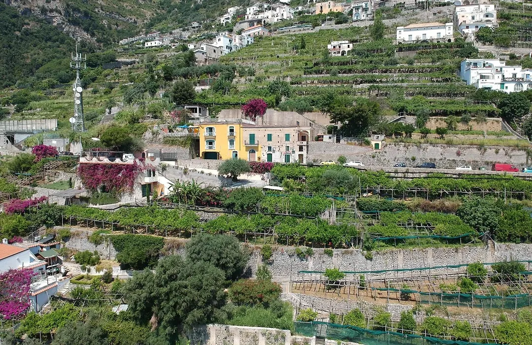 Agriturismo Fuoco D'Amalfi Villa Iazzetta-1