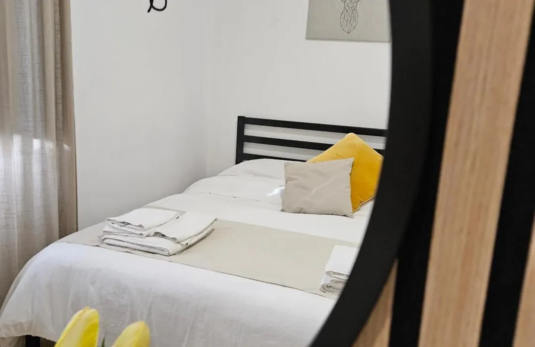 B&B Green-1