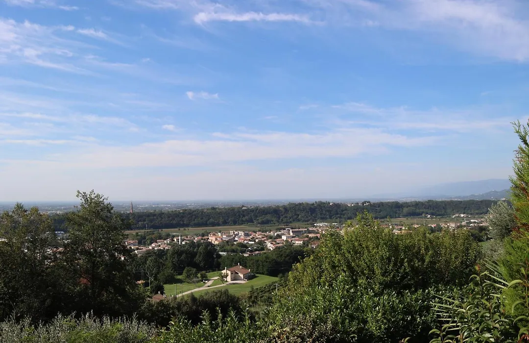 Albergo Alla Pineta-1