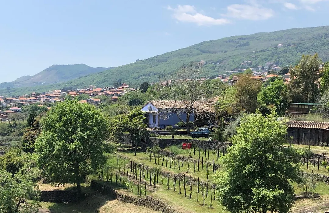 Alberto Mt Etna B&B&Holiday rentals-1
