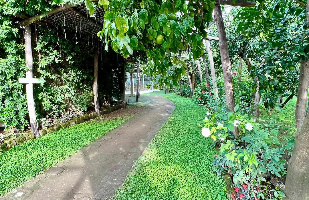 Relais Correale Rooms & Garden-1